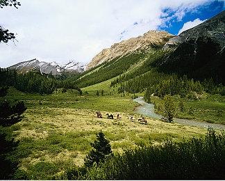 因涉及反犹 米老鼠恐怖游戏被更名为《Infestation: Origins》